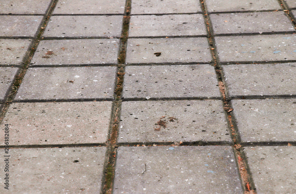 Obraz premium Paving slab. Paving