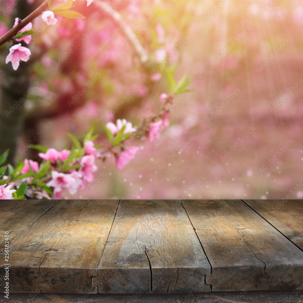 wooden table in front of spring blossom tree landscape. Product display and presentation wooden table in front of spring blossom tree landscape. Product display and presentation