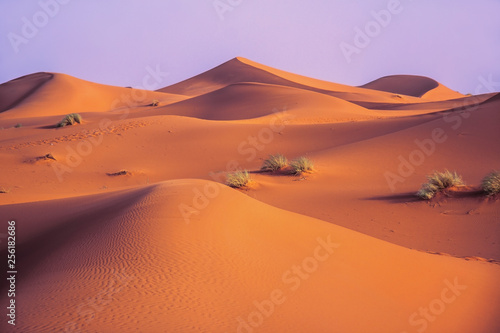 Red sand mountains and grass in sahara desert