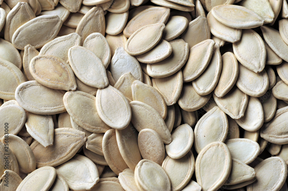 Pumpkin dried seeds Pumpkin dried seeds