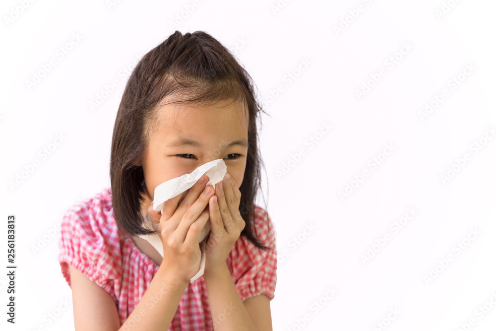 Portrait of cute little girl blowing nose in paper handkerchief,Asian girl sneezing in a tissue isolated on white background,hay fever, runny nose,concept of pollution,dust allergies Portrait of cute little girl blowing nose in paper handkerchief,Asian girl sneezing in a tissue isolated on white background,hay fever, runny nose,concept of pollution,dust allergies