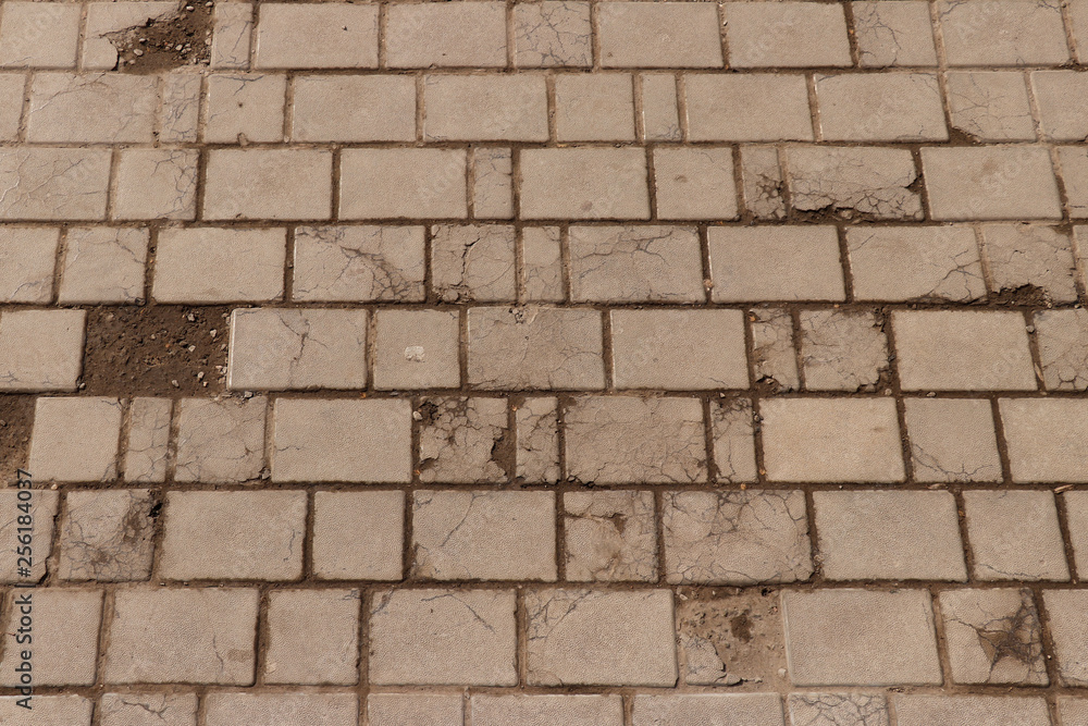 Obraz premium Paving slab. Paving