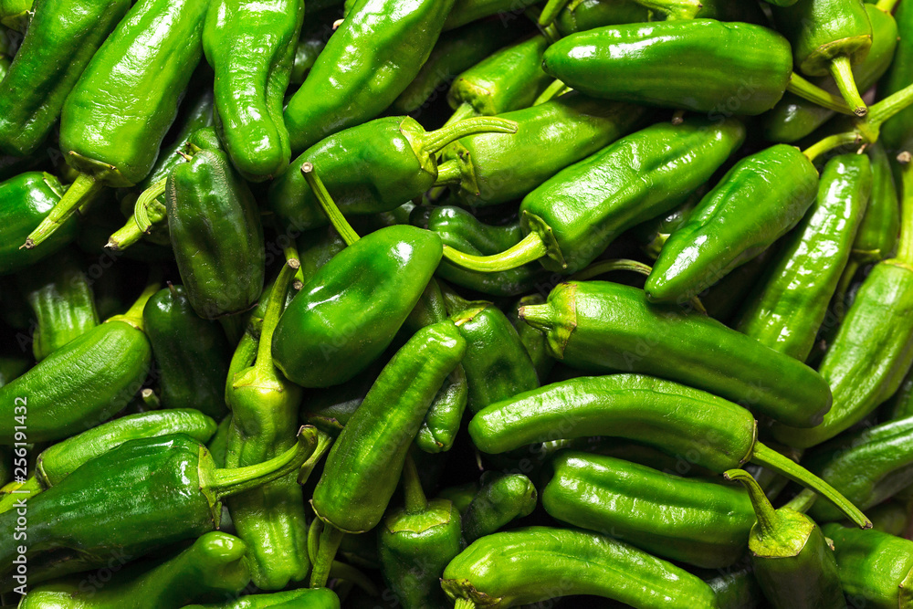 green peppers of Padron, Galicia, Spain green peppers of Padron, Galicia, Spain