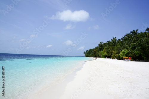 Fototapeta Naklejka Na Ścianę i Meble -  Snow-white beach, stretching into the distance. Maldives.