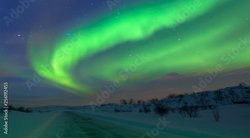Northern lights in the sky over Tromso, Norway © muratart
