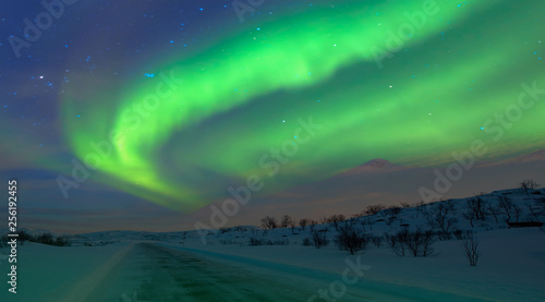 Northern lights in the sky over Tromso  Norway 