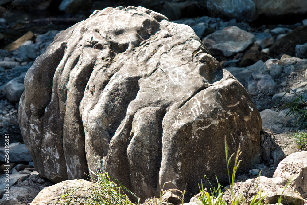 A boulder resembling a monster's skull on the rocky shore of a mountain river