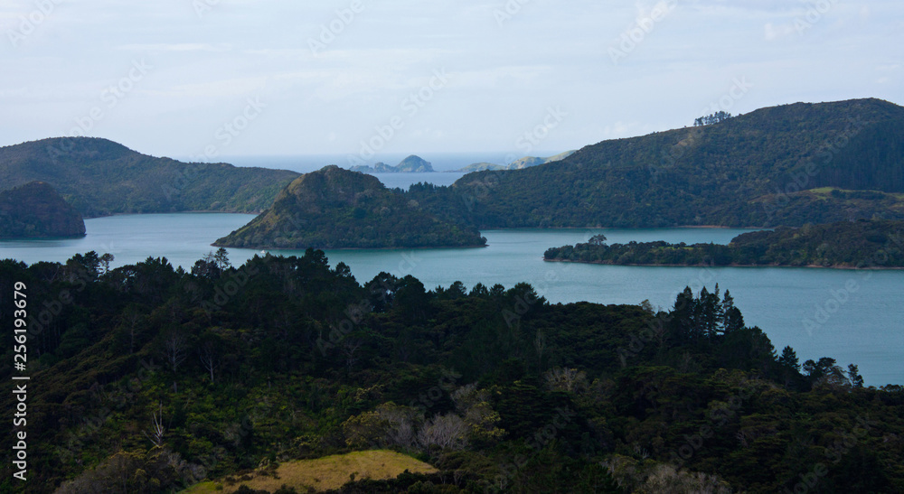 Looking at the sea, islands and trees in New Zealand from a lookout point