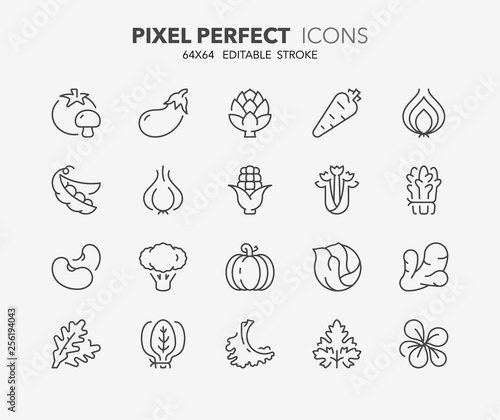 vegetables thin line icons 1