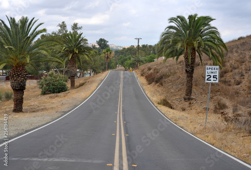 Street with palm trees in Lake Elsinore California USA