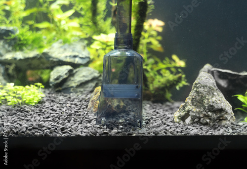 Siphon gravel cleaner tool in the aquarium. photo