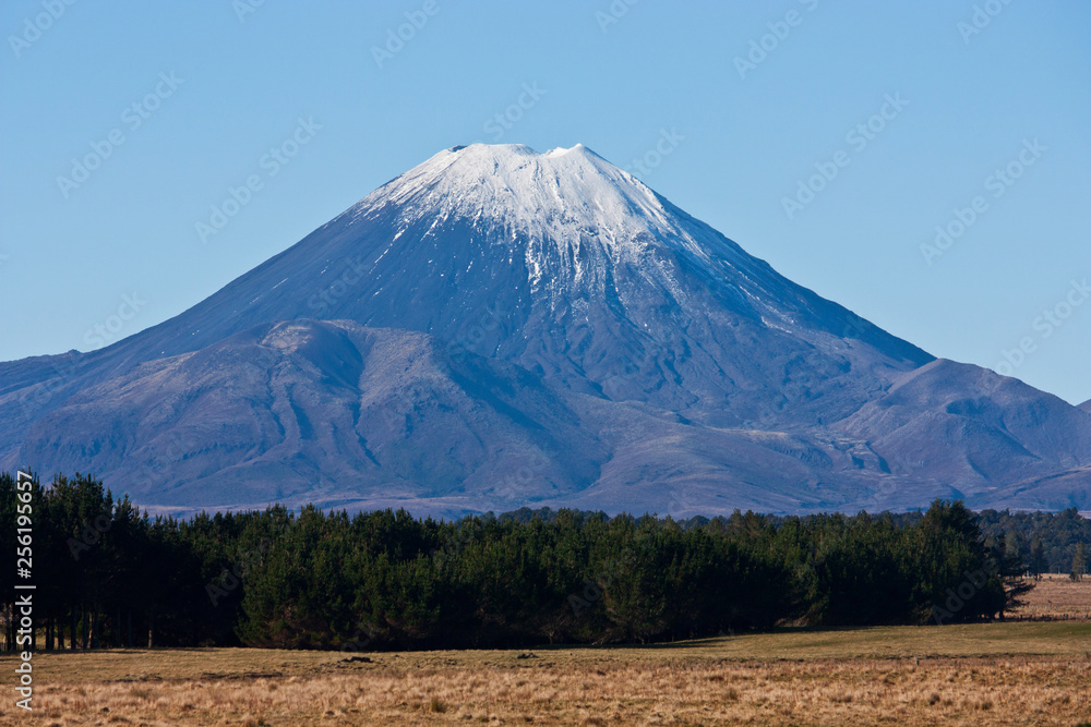The top of the Mount Doom / Ngauruhoe covered in snow overlooking fields and trees in New Zealand