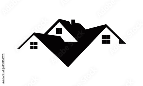 elegant roof home