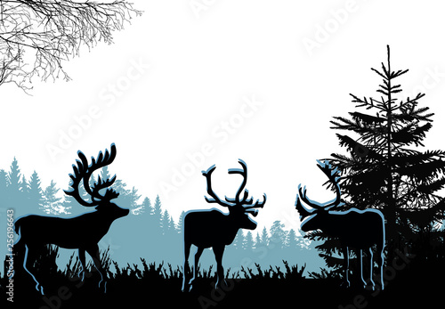 deer three silhouettes in forest isolated on white background © Alexander Potapov