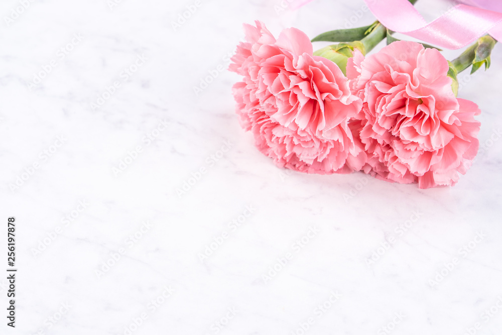 May mothers day handmade giftbox idea concept, beautiful blooming carnations with baby pink ribbon bow gift isolated on modern marble desk, close up, copy space, mock up - obrazy, fototapety, plakaty 