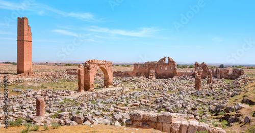 Ruins of the ancient city of Harran - Urfa , Turkey (Mesopotamia) - Old astronomy tower