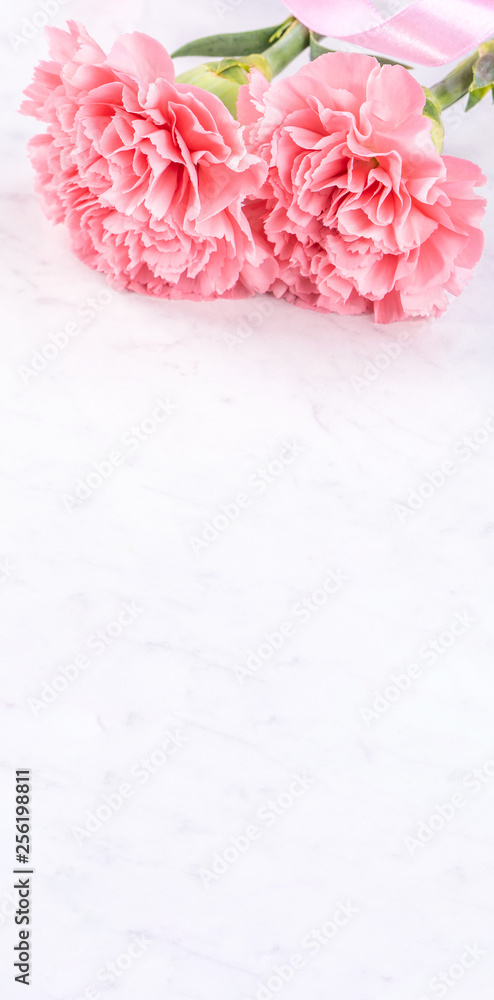 May mothers day handmade giftbox idea concept, beautiful blooming carnations with baby pink ribbon bow gift isolated on modern marble desk, close up, copy space, mock up May mothers day handmade giftbox idea concept, beautiful blooming carnations with baby pink ribbon bow gift isolated on modern marble desk, close up, copy space, mock up