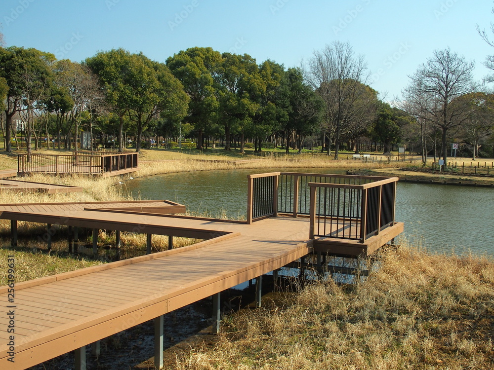 春のみさと公園風景 春のみさと公園風景