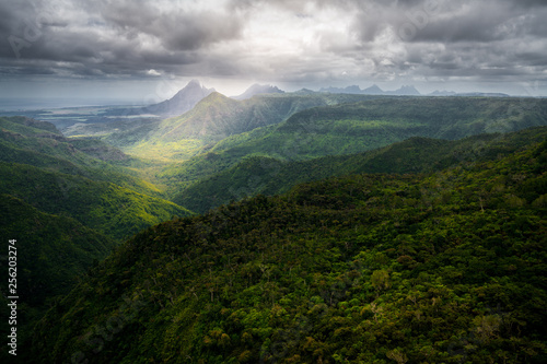 Fototapeta Naklejka Na Ścianę i Meble -  black river gorges national park viewpoint, spectacular panoramic landscape of mountains covered by forest in the Mauritius island