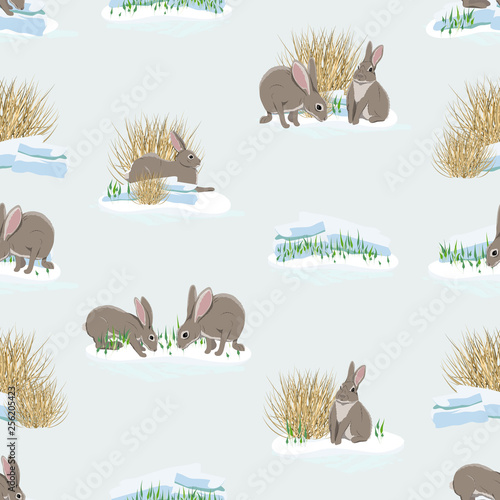 Seamless pattern. Realistic hares on the snow. Spring in Europe and America. Wild animals. Realistic Vector for packaging, background, banner, cards