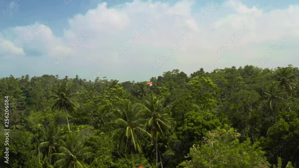 Flying on a drone above the city and the village on the beach at dawn. Sunny weather. Sri Lanka Flying on a drone above the city and the village on the beach at dawn. Sunny weather. Sri Lanka