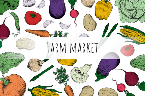 Fresh vegetables banner, farm market, vector