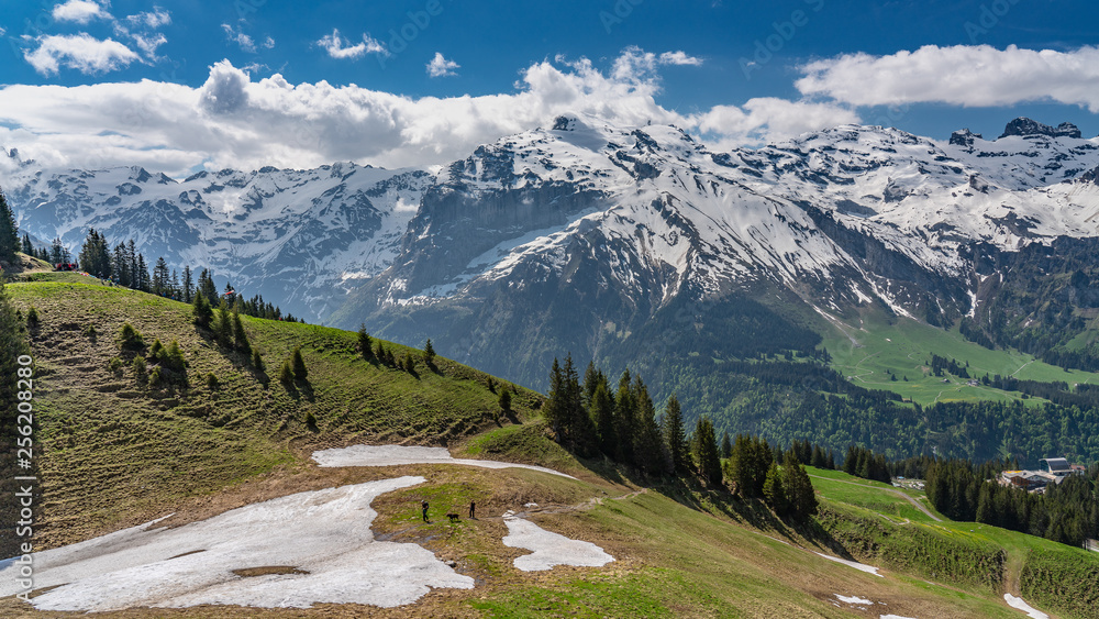 Switzerland, scenic view on Alps near Engelberg and Titlis mountain