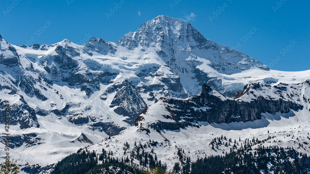 Obraz premium Switzerland, sceniс view on snow Alps from Murren village