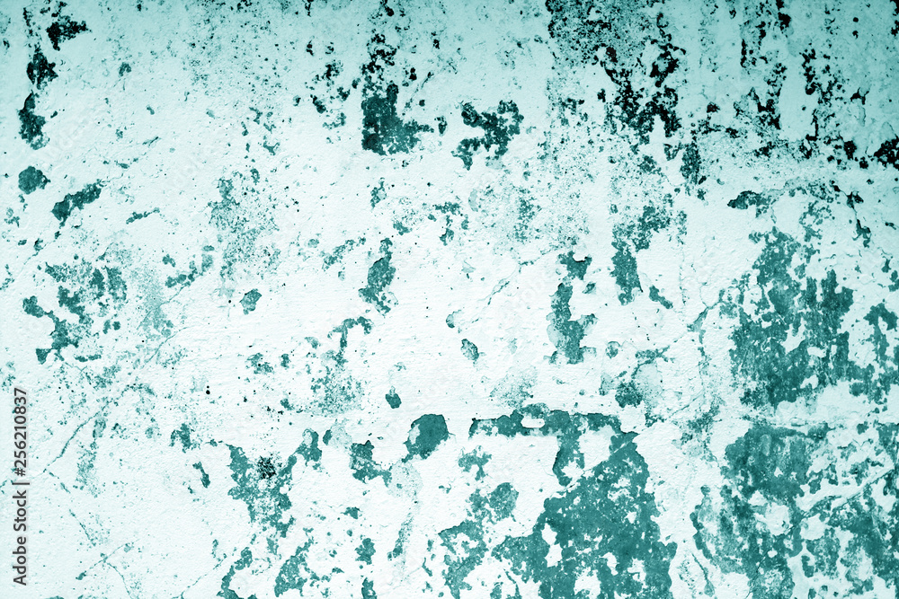 Fototapeta premium Сraked weathered cement wall texture in cyan tone.