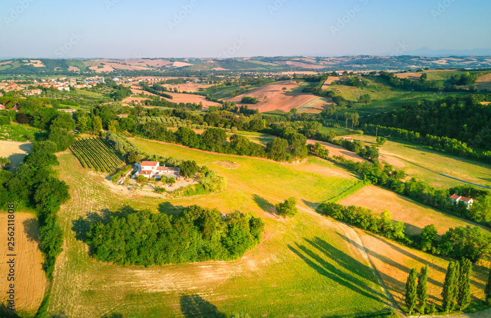aerial view of countryside agricultural green grassland and wheat fields landscape during summer