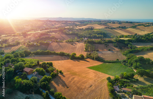 aerial agricultural green grassland and wheat fields landscape during summer