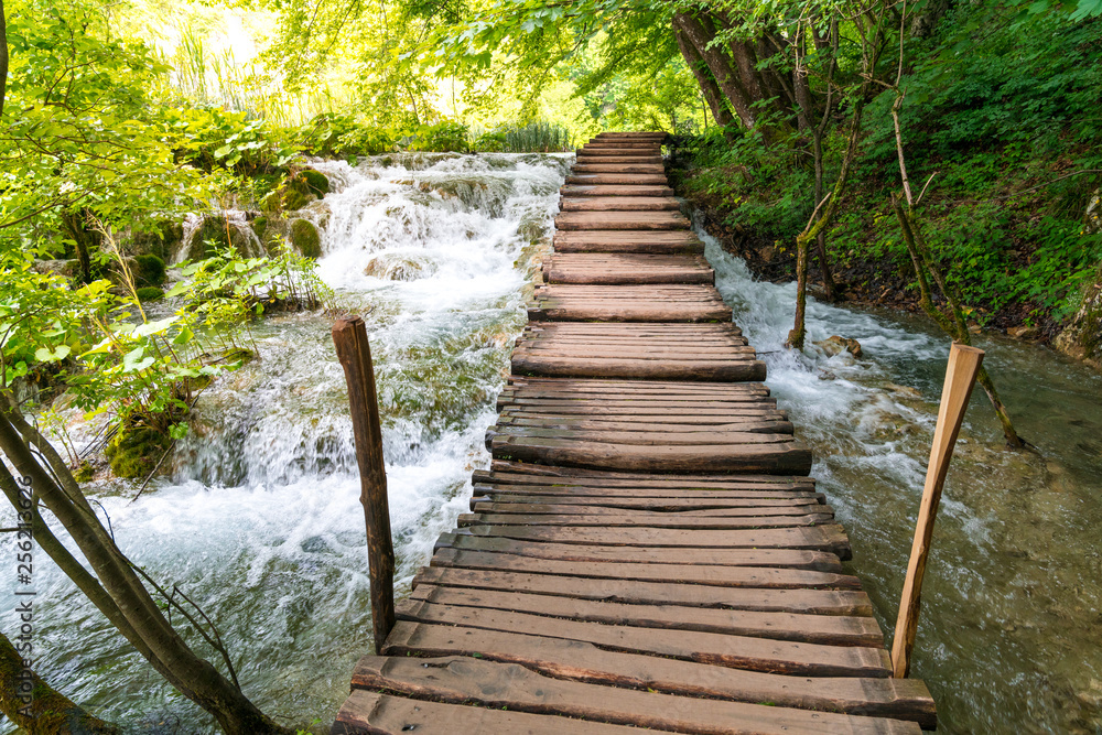 Fototapeta premium Boardwalk through the forest and rapids of Plitvice Lakes National Park, Croatia