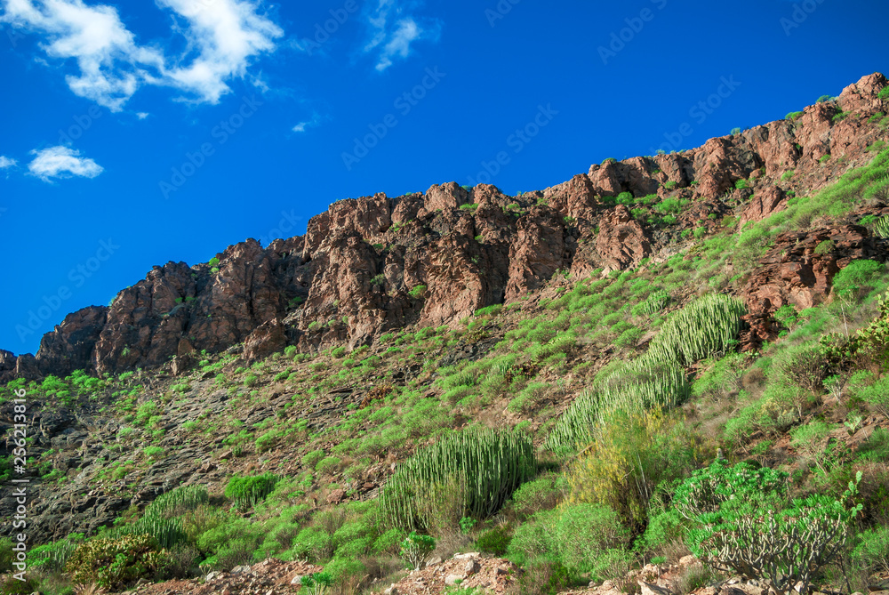 Stony cliffs on background blue sky with clouds, green foot