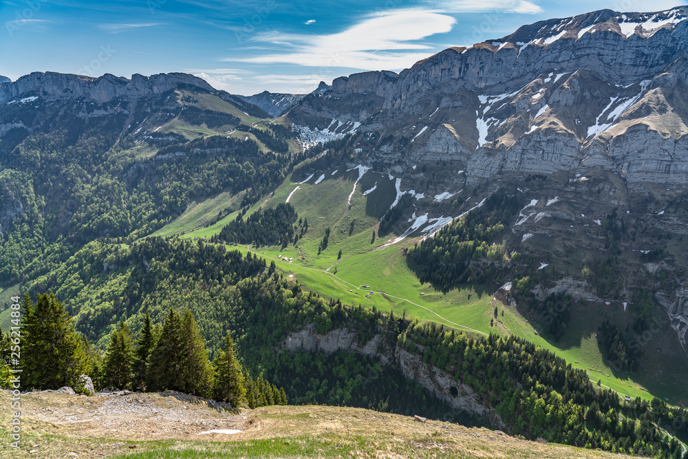 Naklejka premium Switzerland, panoramic view from EbenAlp on Appenzell valley