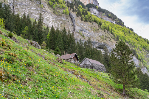 Switzerland, wonderful view on Sealpsee and Alps around photo