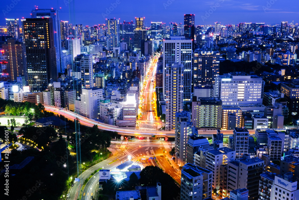 Fototapeta premium Tokyo city at night