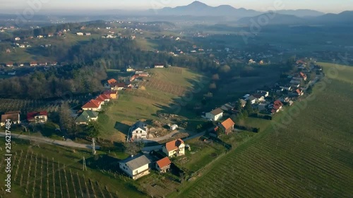 Aerial: Flying over hills filled with wine plantages at beautiful autumn sunset. Filming Slovenian wine making countryside with drone. photo