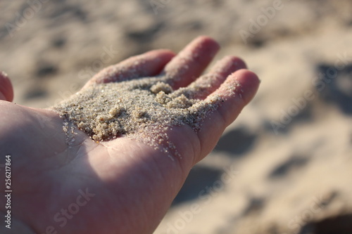 Golden Sands of Baltic