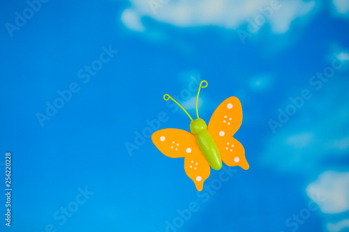 Butterfly on sky - spring