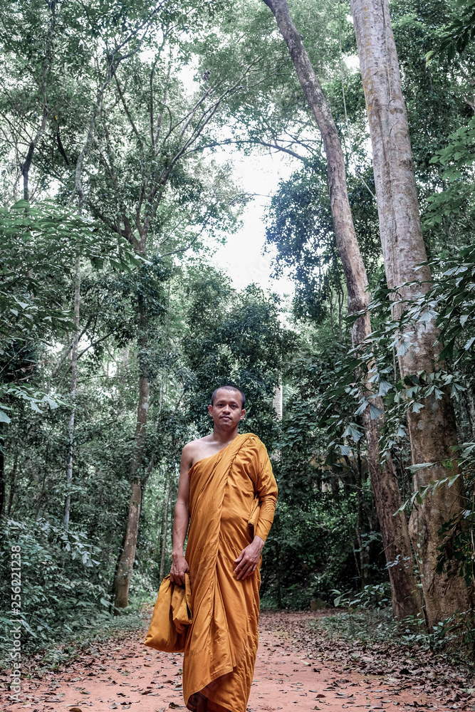 Buddhist monk meditation in tropical forest Buddhist monk meditation in tropical forest