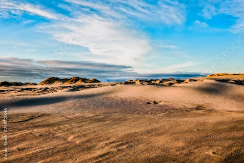 desert in the late afternoon sun