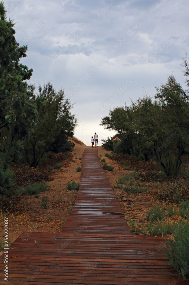 Wooden walkway to the beach a gray day Wooden walkway to the beach a gray day
