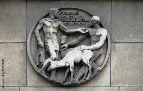 Ptolemy Philadelphe founds the zoo. Stone relief at the building of the Faculte de Medicine Paris, France  photo