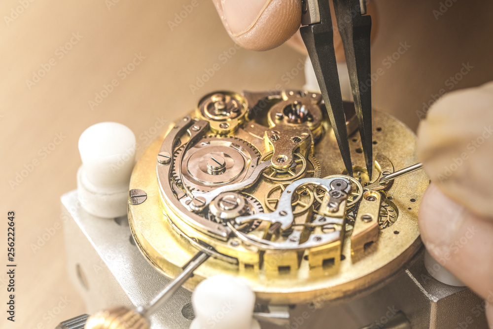 Watchmaker pro hotsell