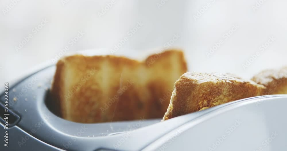Slow motion shot of roasted toast bread popping up from toaster Slow motion shot of roasted toast bread popping up from toaster