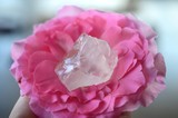 Holding Rose Quartz, natural lighting. Pink, romantic healing crystal. Pastel rose quartz chunks. Person holding small pink gemstone. Light pink, rough and tumbled crystals. 