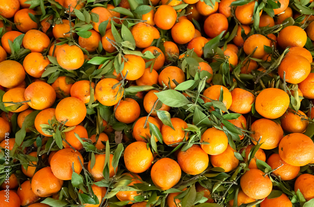orange fruit stacked on the marketplace