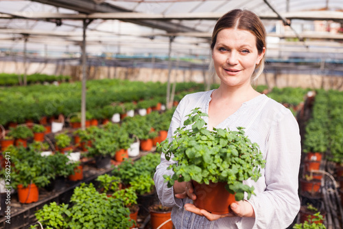Portrait of smiling young woman gardener holding  peppermint seedlings in pot
