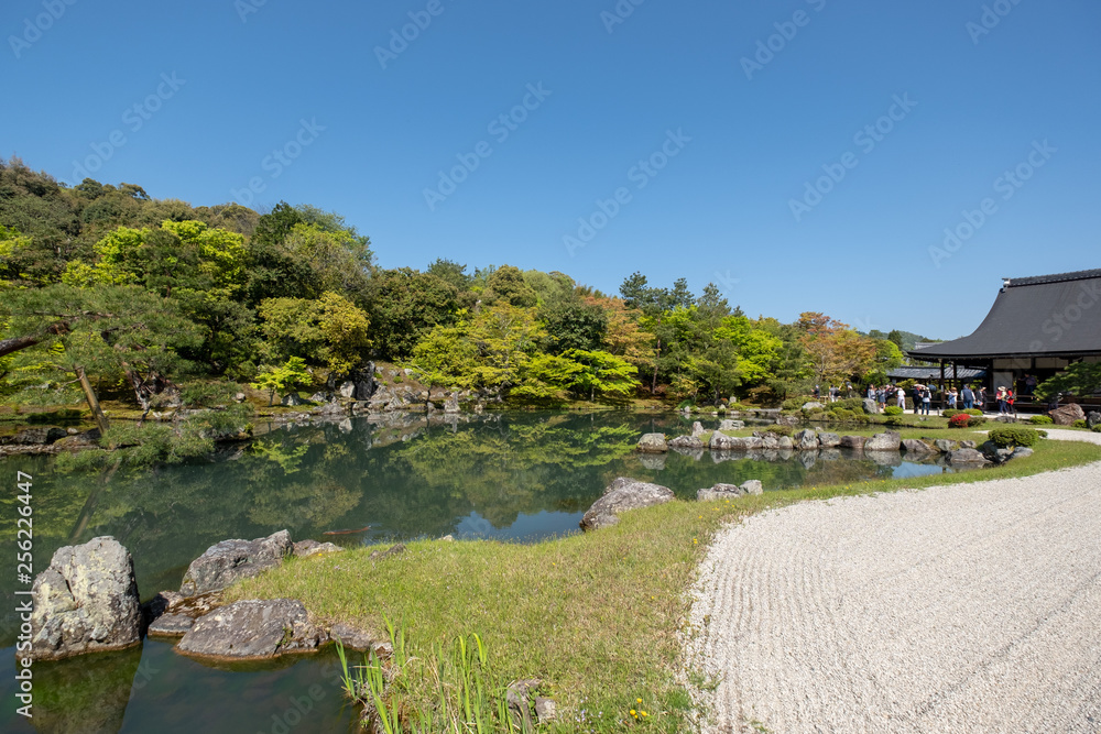 Water pond, tree with reflection in Japanese zen garden Kyoto Japan Water pond, tree with reflection in Japanese zen garden Kyoto Japan
