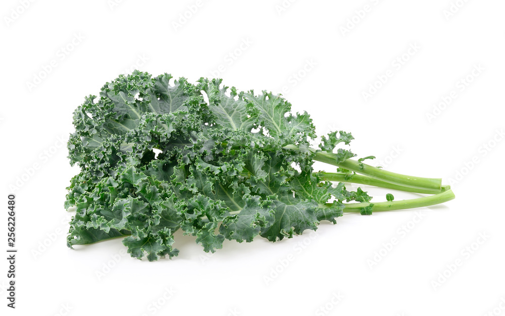 kale on white background